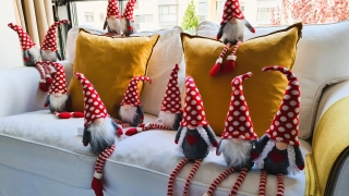 navidad saludable anefp