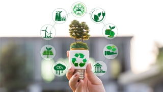 dia mundial del medio ambiente