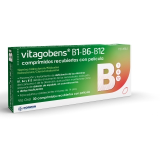 VITAGOBENS B1-B6-B12 30 COMPRIMIDOS RECUBIERTOS